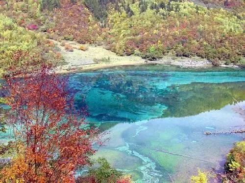 逃出郊外露营地
